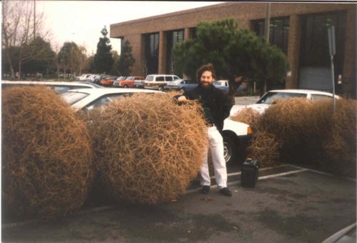 Tumbleweeds in Silicon Valley
